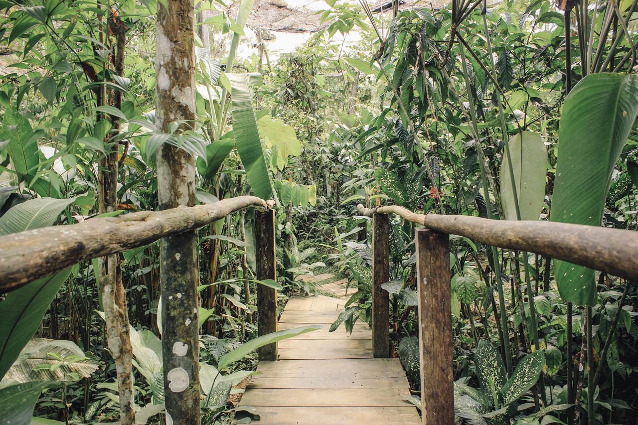 Libertad Jungle Lodge Yucuruche Exterior photo